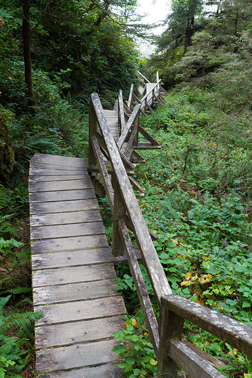 09-19 - 01.jpg - Pacific Rim National Park, Vancouver Island, BC